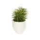 Kunstplant Pino met witte keramische plantenbak 16 cm