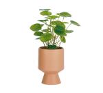 Plante artificielle Bailey avec pot en céramique rose nude 21,6 cm