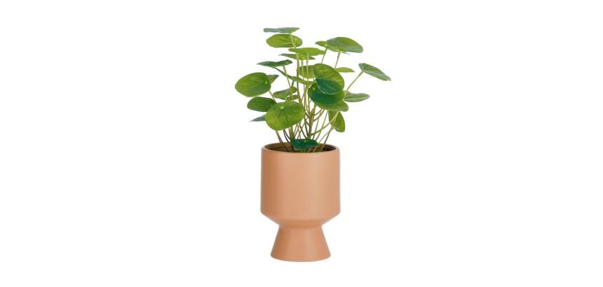 Plante artificielle Bailey avec pot en céramique rose nude 21,6 cm