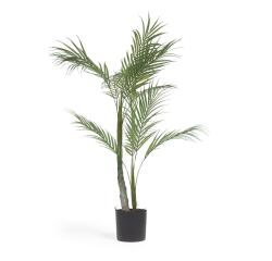 Planta artificial Palmera con maceta negro 70 cm