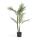 Plantas y maceteros 