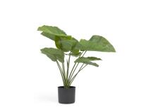 Planta artificial Alocasia Odora con maceta negro 57 cm