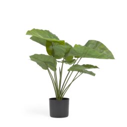 DE_Plante artificielle Alocasia Odora avec pot noir 57 cm