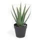 Planta artificial Aloe Vera con maceta negro 36 cm