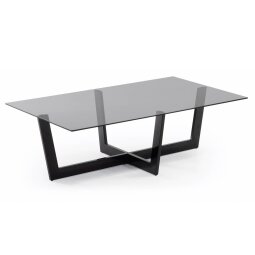Black glass Plam coffee table 120 x 70 cm