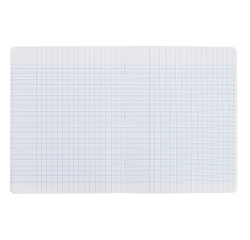 Cahier touch Oxford scolaire agrafe 170x220 96pages seyes assorti