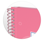 Europeanbook Oxford school spiral 298x232 160p optik p. q5/5+tag rose