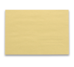 Pochette Oxford 229x324 x10 auto adhesive zone d expedition