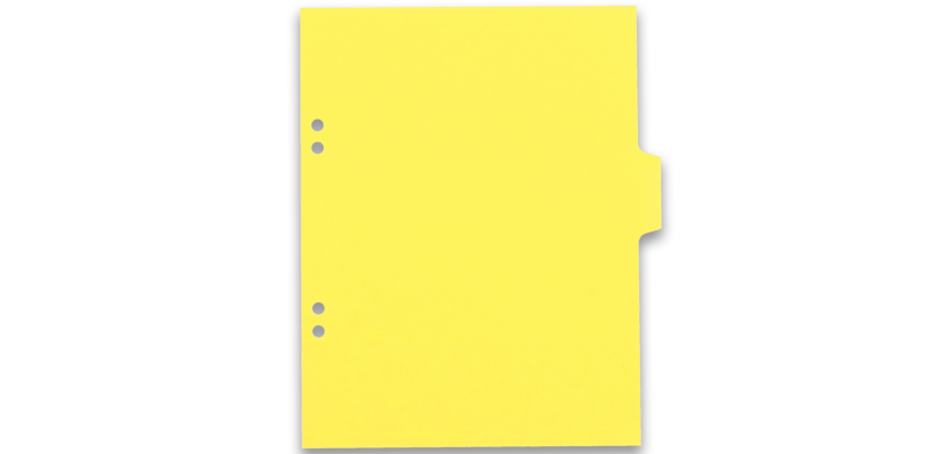 Intercalaires neutres 17x22 6 positions carte lustree 3/10 assorti
