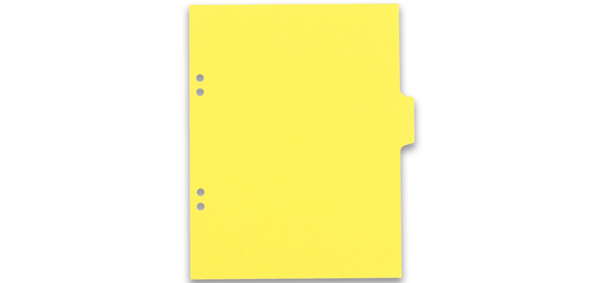 Intercalaires neutres 17x22 6 positions carte lustree 3/10 assorti