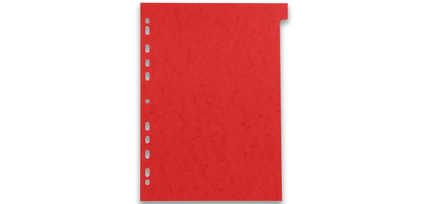 Intercalaires neutres A4 12 positions carte lustree 225g assorti