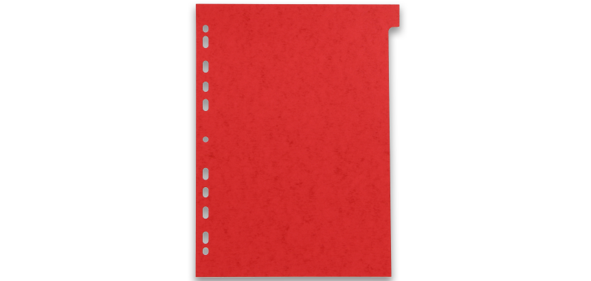 Intercalaires neutres a4 12 positions carte lustree 225g assorti