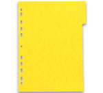 Intercalaires neutres a4 12 positions carte lustree 225g assorti