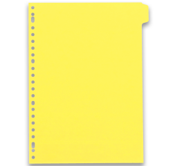 Intercalaires neutres A4 12 positions carte lustree 5/10 assorti
