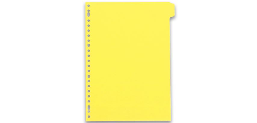 Intercalaires neutres A4 12 positions carte lustree 5/10 assorti