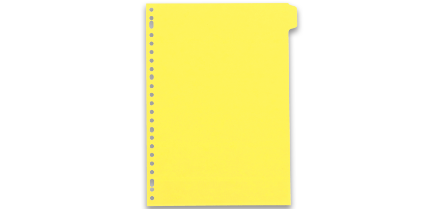 Intercalaires neutres A4 12 positions carte lustree 5/10 assorti