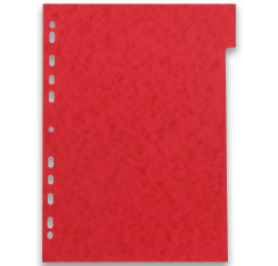 Intercalaires neutres A4 6 positions carte lustree 220g assorti