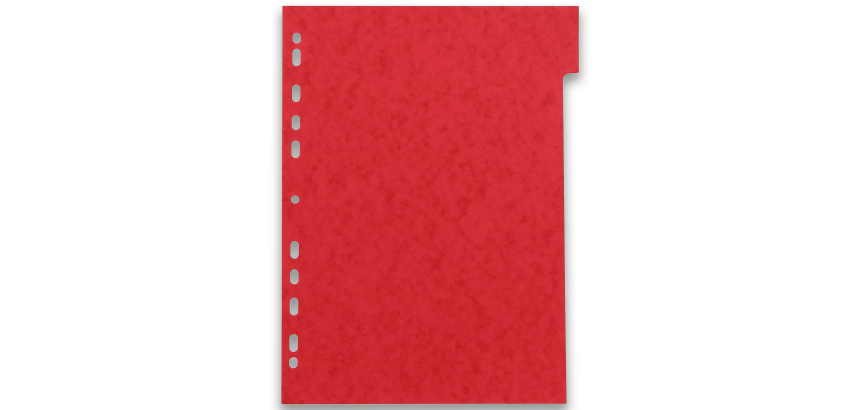 Intercalaires neutres A4 6 positions carte lustree 220g assorti