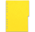 Intercalaires neutres A4 6 positions carte lustree 220g assorti