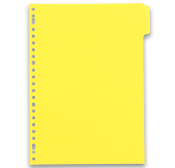 Intercalaires neutres A4 6 positions carte lustree 5/10 assorti