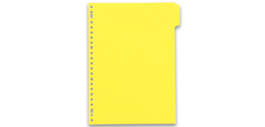 Intercalaires neutres A4 6 positions carte lustree 5/10 assorti