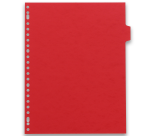 Intercalaires neutres A4+ 12 positions carte lustree 5/10  assorti