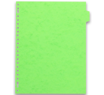 Intercalaires neutres A4+ 12 positions carte lustree 5/10  assorti