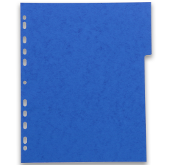 Intercalaires neutres A4+ 6 positions carte lustree 225g assorti