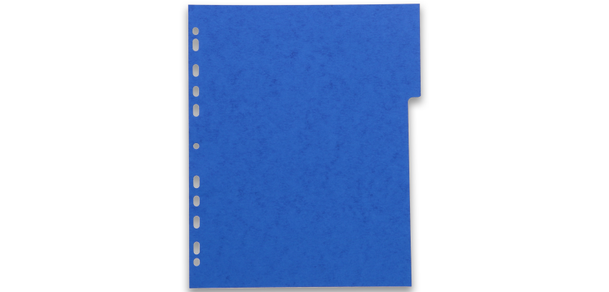 Intercalaires neutres A4+ 6 positions carte lustree 225g assorti
