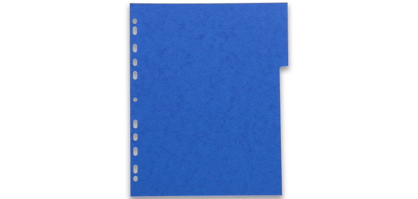 Intercalaires neutres A4+ 6 positions carte lustree 225g assorti