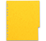 Intercalaires neutres A4+ 6 positions carte lustree 225g assorti