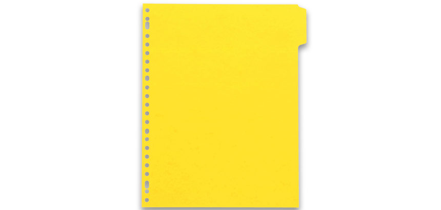 Intercalaires neutres a4+ 6 positions carte lustree 5/10 assorti