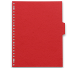 Intercalaires neutres a4+ 6 positions carte lustree 5/10 assorti