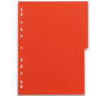 Intercalaires neutres a4 12 positions carte forte 225g assorti