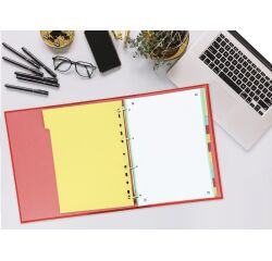 Intercalaires neutres A4+ 12 positions carte lustree 5/10  assorti