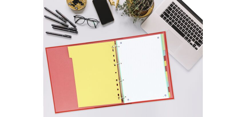 Intercalaires neutres a4 12 positions carte forte 160g assorti