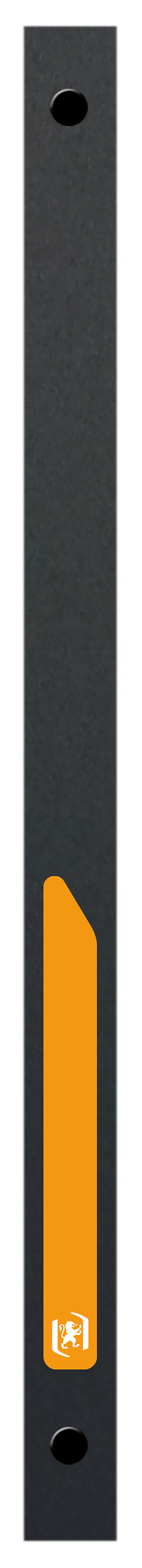 Classeur OXFORD Osmose A4, Dos 20 Mm, 4 Anneaux Ronds - Couverture Polypro Résistante, Couleur Assortie Aléatoire