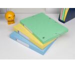 Boite Oxford top file + 24x32 dos de 25mm assorti pastel