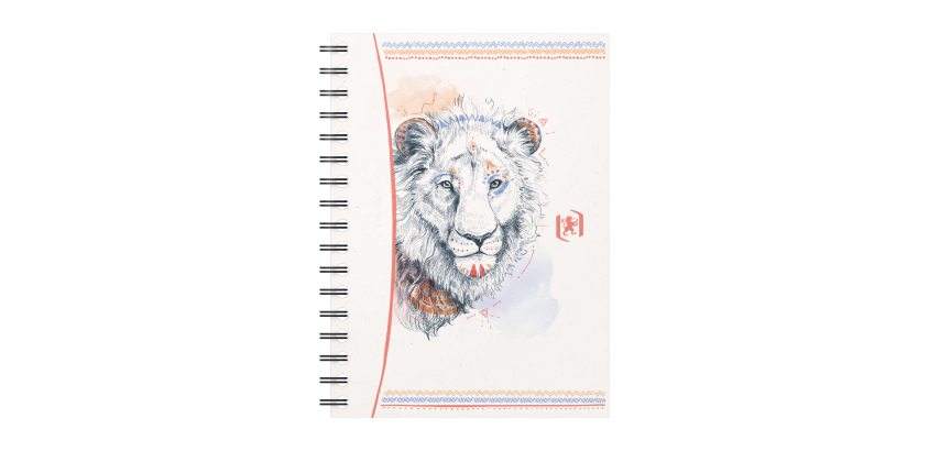 Carnet boho chic Oxford integrale 105x148 100pages quadrillé 5/5 assorti
