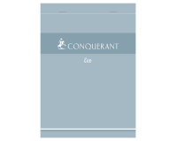Bloc Conquerant 7 Direction Eco Agrafe 148X210 100P 60G Q5/5 Gris