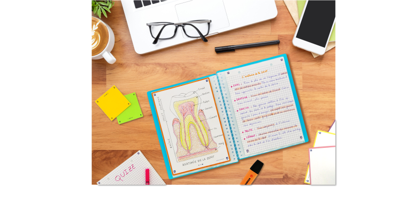 Protege-Docs Spiral Oxford School Life A5 40 Poch PP Translucide/Opaque Assorti Pav