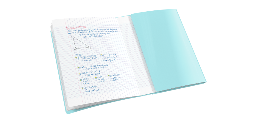 Cahier Oxford Easybook Pastel Agrafe 210X297 96P Optik P. Seyes Polypro Assorti