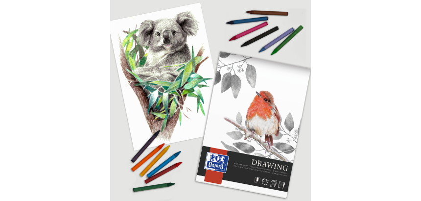 Bloc Drawing Oxford Art Endosse 210X297 80P 160G Uni