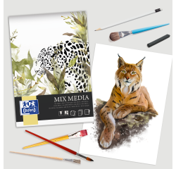 Bloc Mixmedia Oxford Art Endosse 210X297 50P 225G Uni