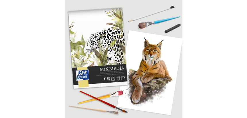 Bloc Mixmedia Oxford Art Endosse 210X297 50P 225G Uni