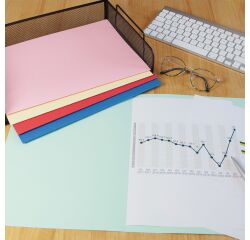 Chemise Oxford 240x320 x10 assorties vives