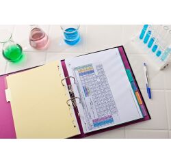 Intercalaires neutres A4 6 positions carte forte 225g assorti