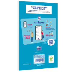 Bloc Bristol Oxford 125X200 30 Fiches Perforees Q5/5 Blanc