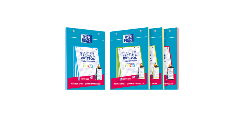 Bloc Bristol Oxford 125X200 30 Fiches Perforees Q5/5