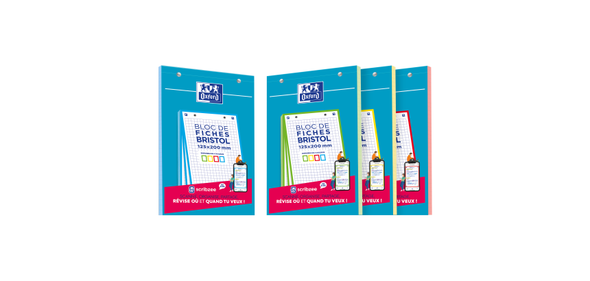 Bloc Bristol Oxford 125X200 30 Fiches Perforees Q5/5